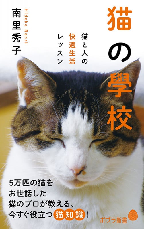 猫の學校 猫と人の快適生活レッスン (ポプラ新書 115)