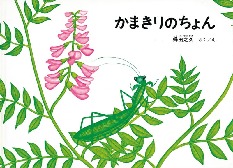 かまきりのちょん (こどものとも絵本)