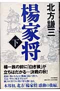 楊家将 (下)