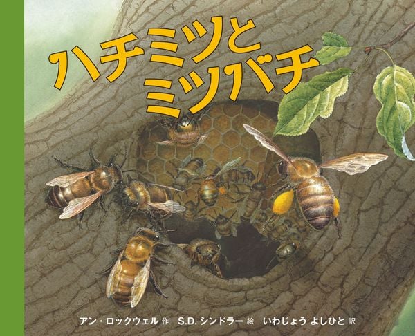 ハチミツとミツバチ