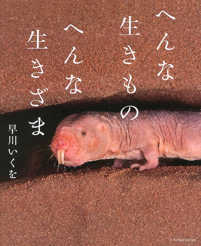 へんな生きもの へんな生きざま
