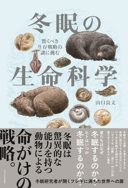 冬眠の生命科学