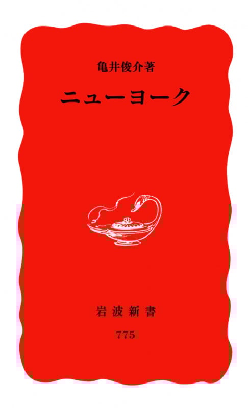 ニューヨーク (岩波新書 新赤版755)