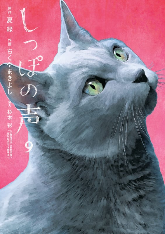 しっぽの声 (9) (ビッグ コミックス)