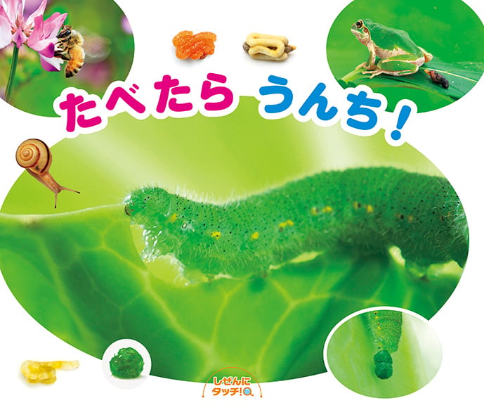 たべたらうんち! (しぜんにタッチ!)