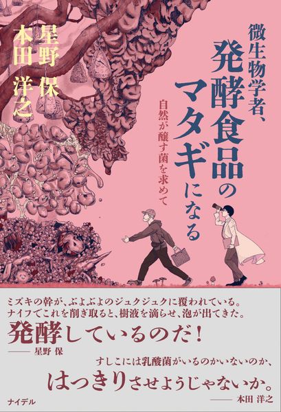 微生物学者、発酵食品のマタギになる 自然が醸す菌を求めて