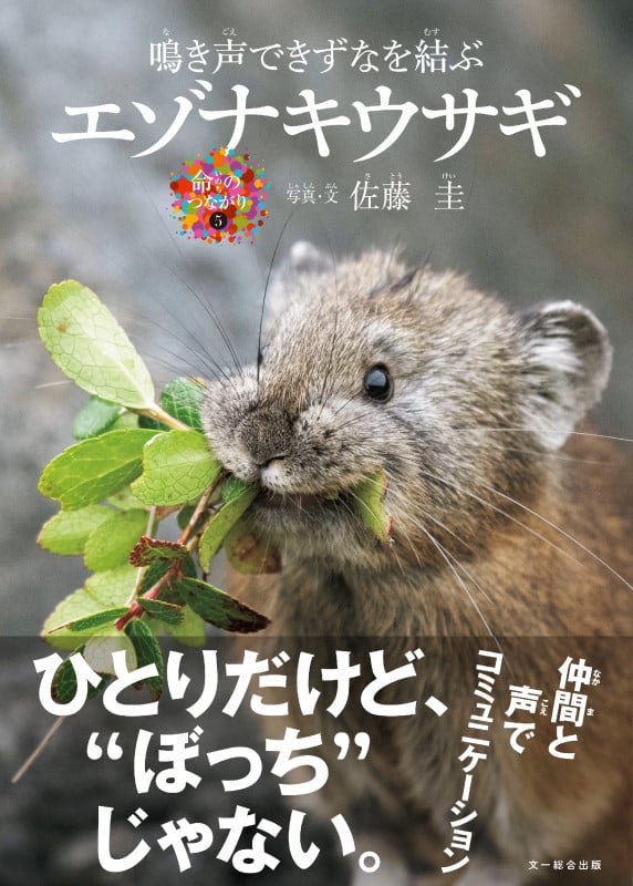 エゾナキウサギ 鳴き声できずなを結ぶ (命のつながり 5)