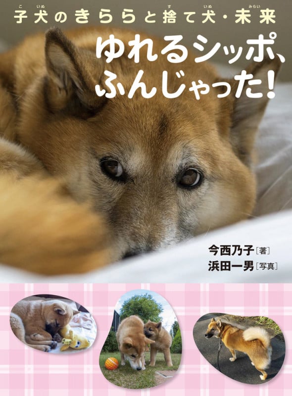 子犬のきららと捨て犬・未来 ゆれるシッポ、ふんじゃった! | 今西乃子