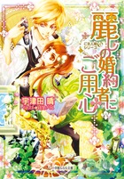 麗しの婚約者にご用心 ご主人様なシリーズ (ルルル文庫)