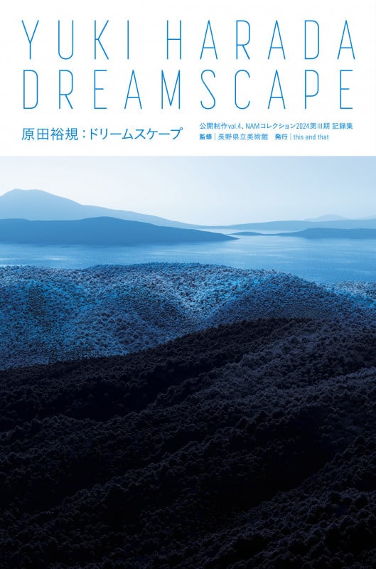 原田裕規:ドリームスケープ