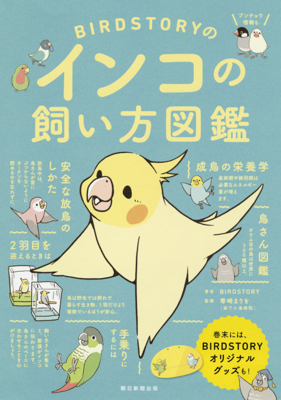 BIRDSTORYのインコの飼い方図鑑