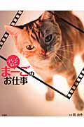 テレビねこ まーごのお仕事