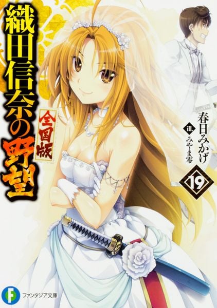 織田信奈の野望 全国版 19 (ファンタジア文庫)