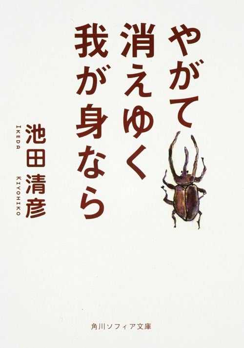 やがて消えゆく我が身なら (角川ソフィア文庫)