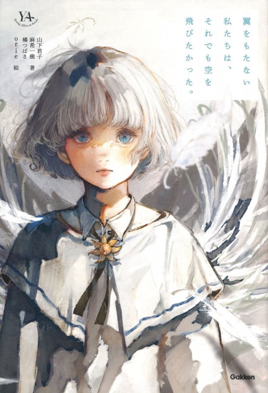 翼をもたない私たちは、それでも空を飛びたかった。 (YA)