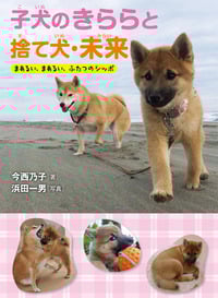 子犬のきららと捨て犬・未来 まあるい、まあるい、ふたつのシッポ