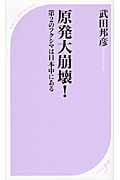 原発大崩壊! 第2のフクシマは日本中にある (ベスト新書)