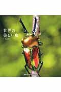 世界の美しい虫