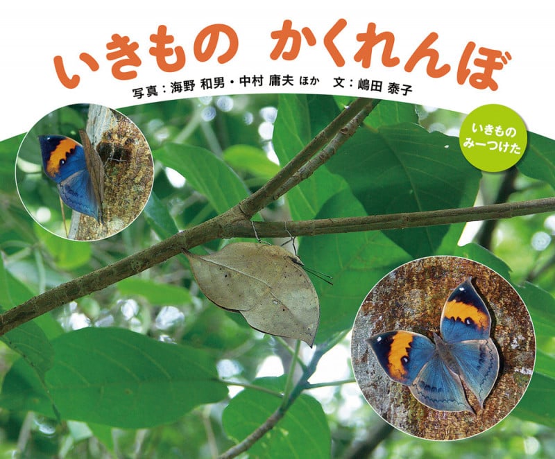 いきものかくれんぼ (いきものみーつけた)