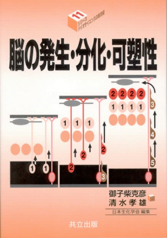脳の発生・分化・可塑性 (シリーズ・バイオサイエンスの新世紀 11)