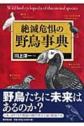 絶滅危惧の野鳥事典