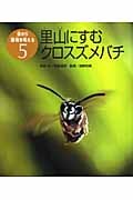 里山にすむクロスズメバチ (虫から環境を考える 5)