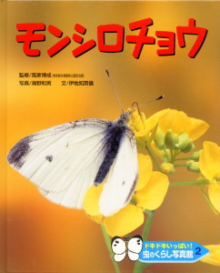 ドキドキいっぱい!虫のくらし写真館 モンシロチョウ (2)