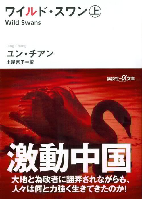 ワイルド・スワン 上 (講談社+α文庫)