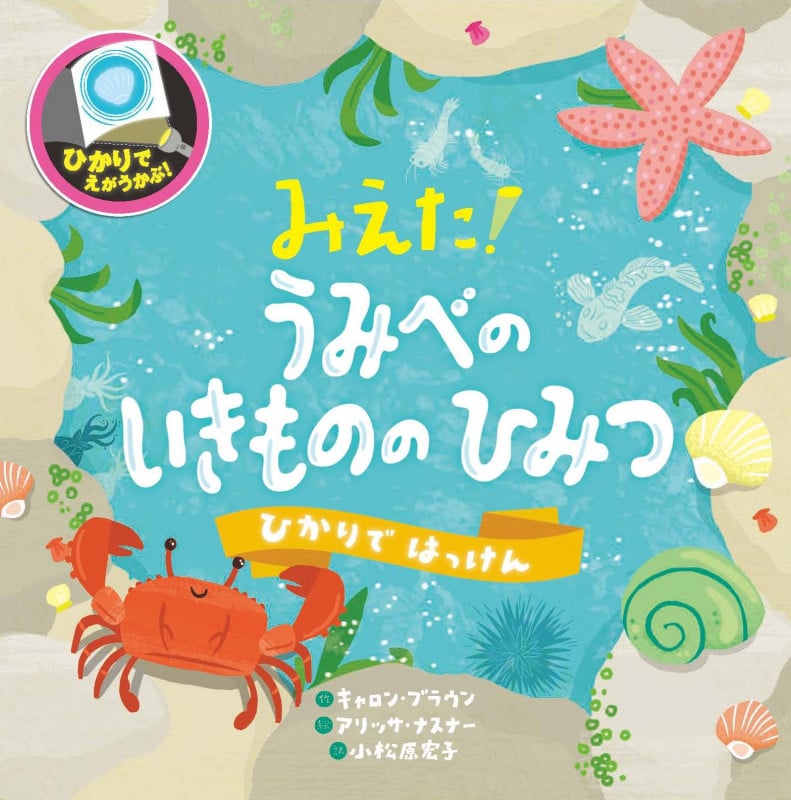 みえた!うみべのいきもののひみつ (ひかりではっけん)