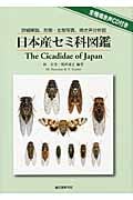 日本産セミ科図鑑