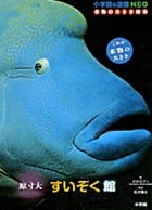 原寸大 すいぞく館 (小学館の図鑑NEO 本物の大きさ絵本)
