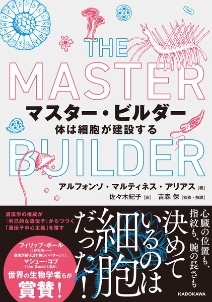 マスター・ビルダー 体は細胞が建設する
